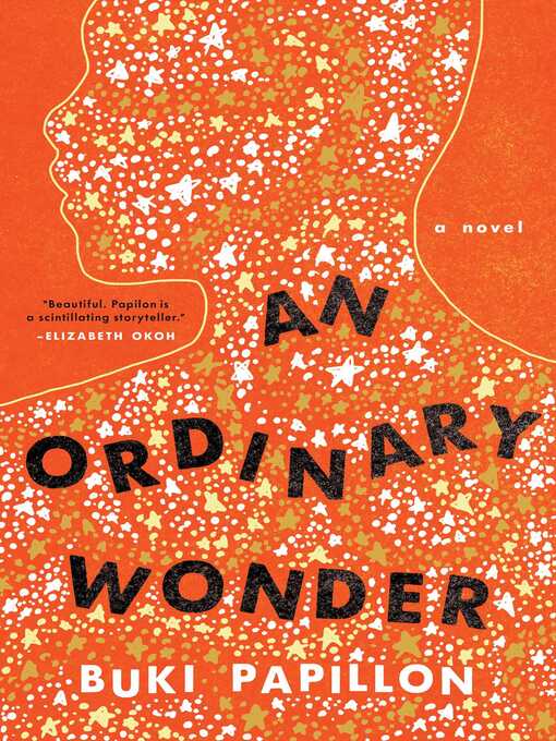 Cover image for An Ordinary Wonder